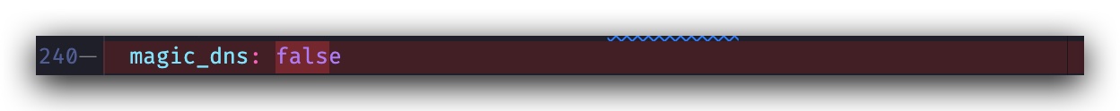 magic_dns